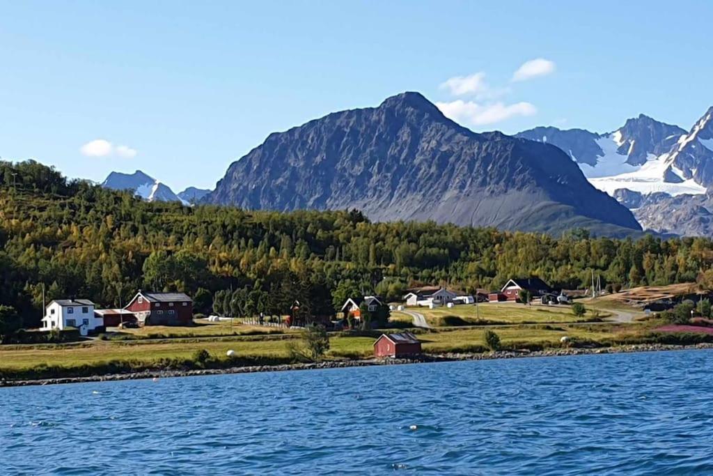 Traditional Farm House Located Close To Fjord Lyngseidet Exterior foto