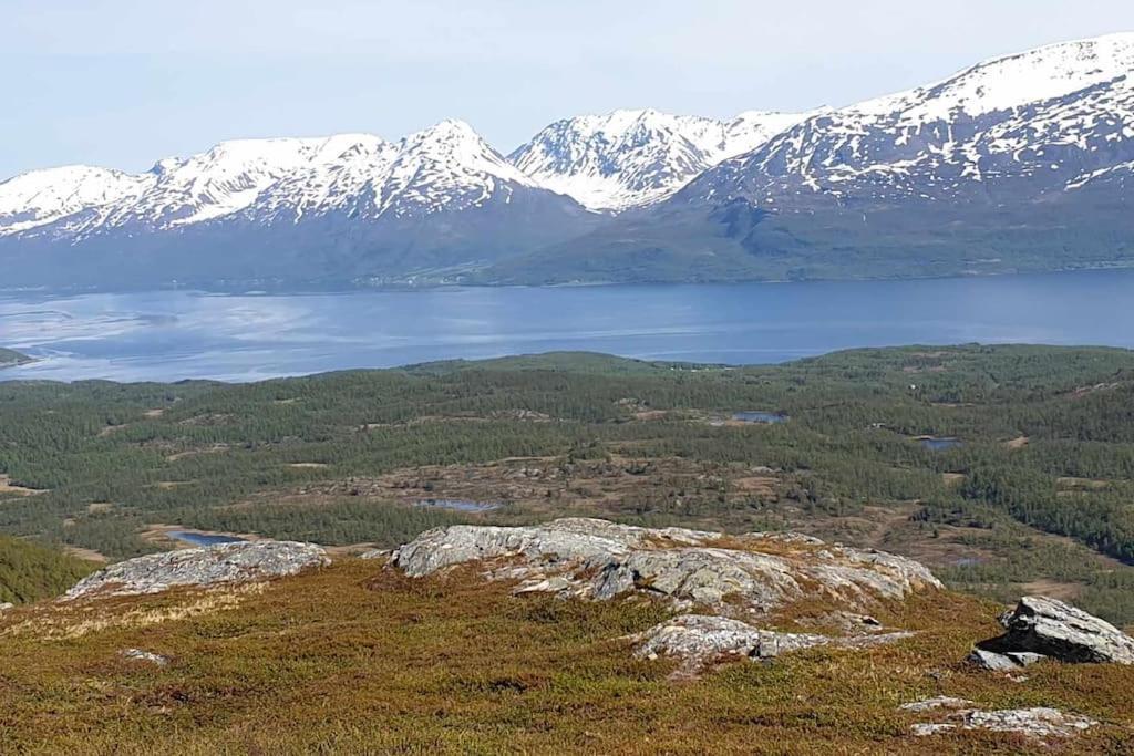 Traditional Farm House Located Close To Fjord Lyngseidet Exterior foto