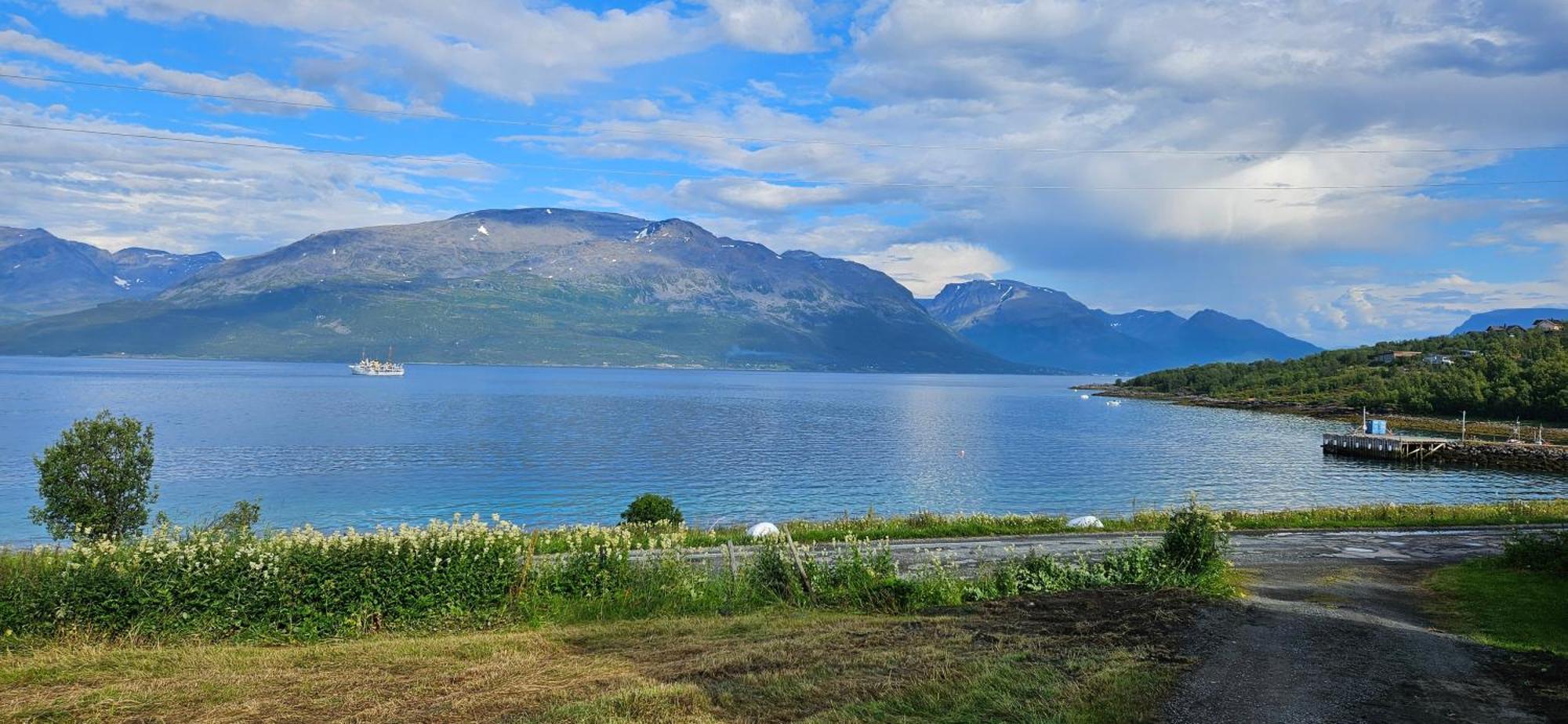Traditional Farm House Located Close To Fjord Lyngseidet Exterior foto